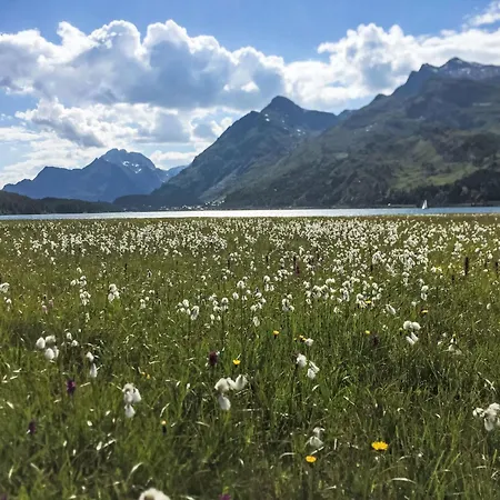 Chesa Cavril By Interhome Hébergement de vacances