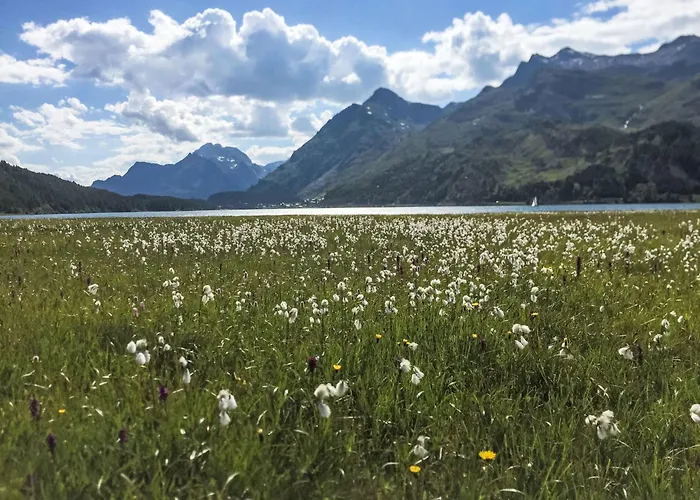 Chesa Cavril By Interhome Hébergement de vacances